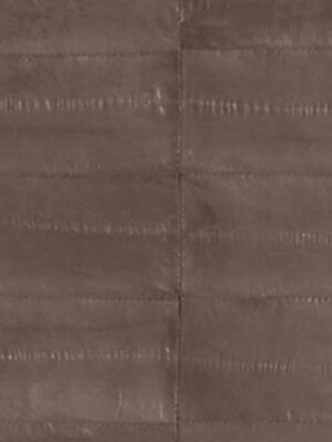 Anguilla vera - Col. Sepia