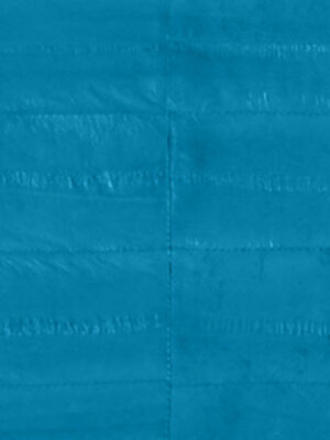 Anguilla vera - Col. Sky blue