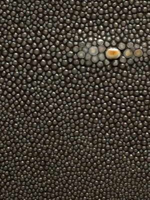 Stingray - Stone grey