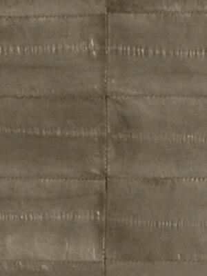 Anguilla vera - Col. Taupe