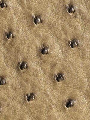 Struzzo naturale - Col. Taupe