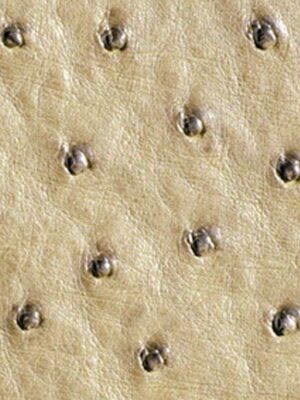 Struzzo naturale - Col. Winter white