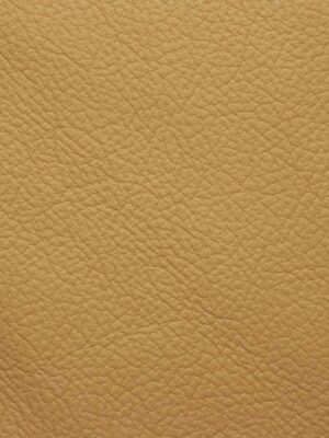 Australia - Col. 677