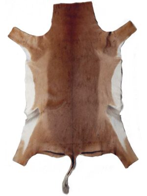 Springbuk_002_intera-v