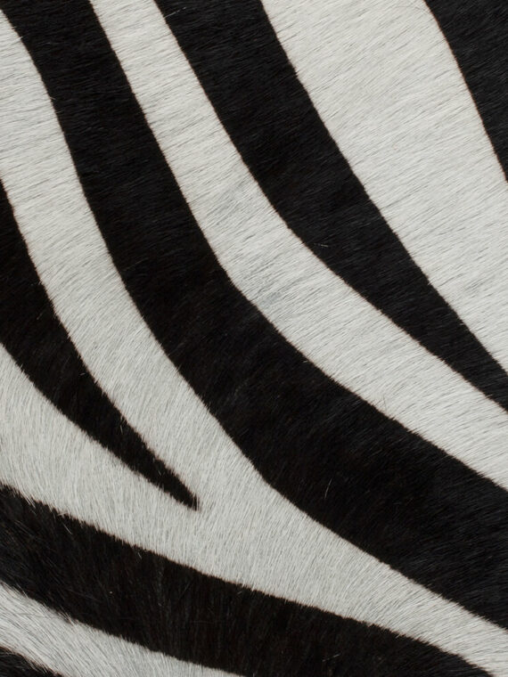 Pelli a pelo stampate fantasy