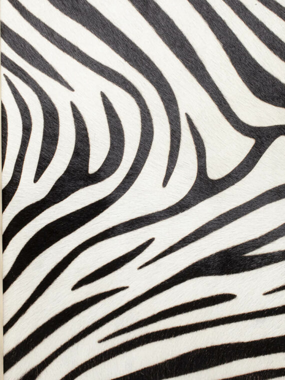 Pelli a pelo stampate fantasy