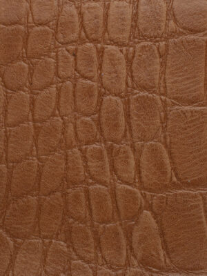 Crocodile - Col. 2502