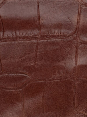 Crocodile - Col. 2503