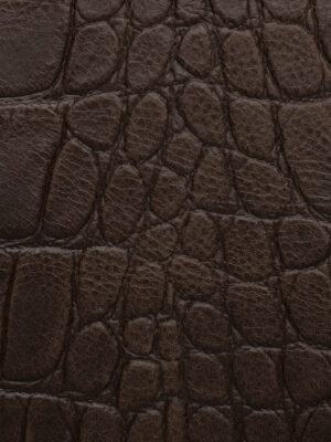 Crocodile - Col. 2505