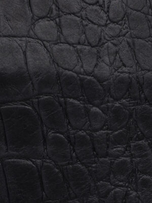 Crocodile - Col. 2506