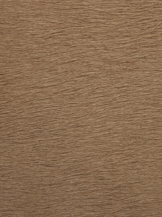 Pelli a pelo tinta unita