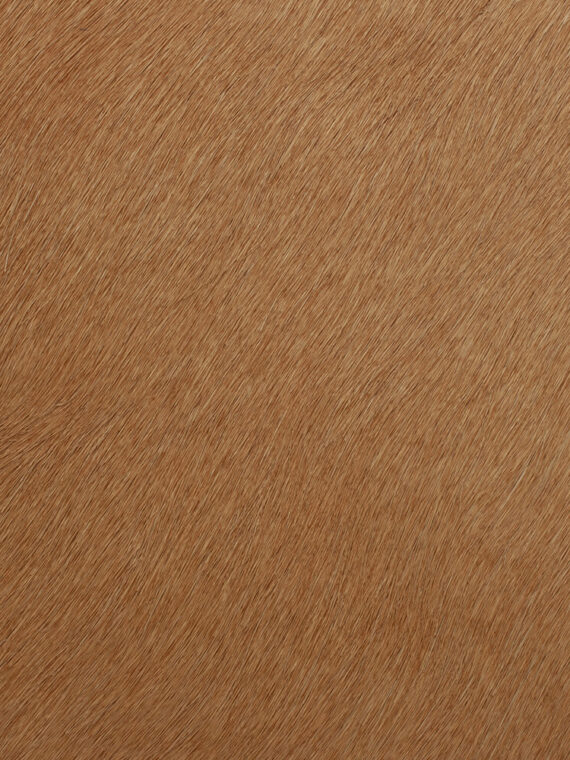 Pelli a pelo tinta unita