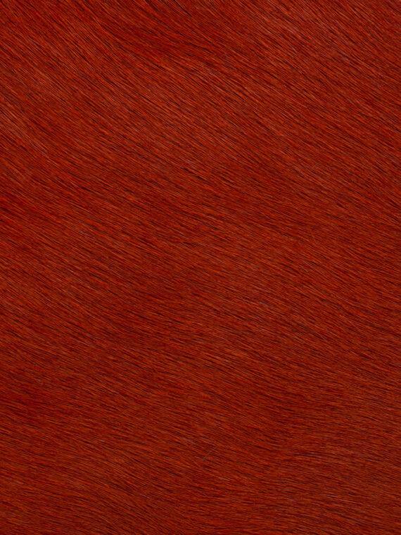 Pelli a pelo tinta unita