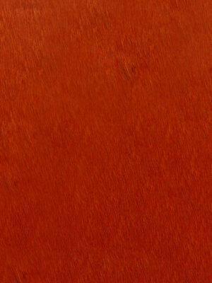 Pelli a pelo tinta unita