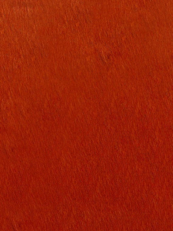 Pelli a pelo tinta unita