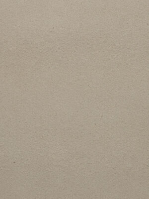 Scamosciato - Col. 02