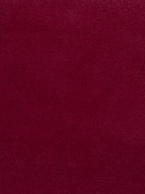 Scamosciato - Col. 101