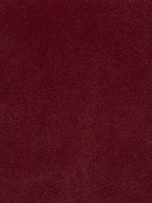 Scamosciato - Col. 39