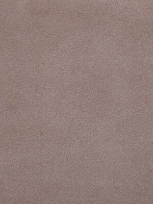 Scamosciato - Col. 41