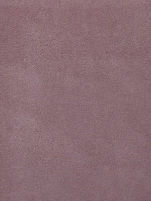 Scamosciato - Col. 43