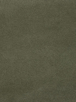 Scamosciato - Col. 88