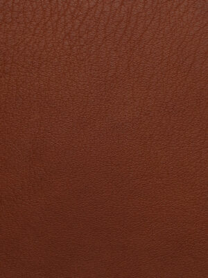 Sinfonia - Col. 8031