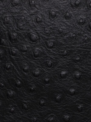 Struzzo - Col. 77991