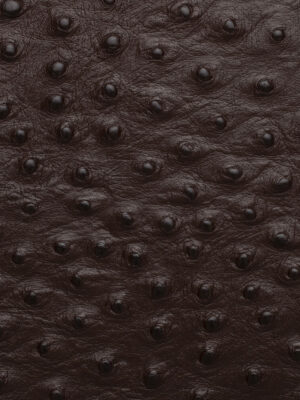 Struzzo - Col. 77992