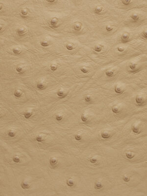 Struzzo - Col. 77995