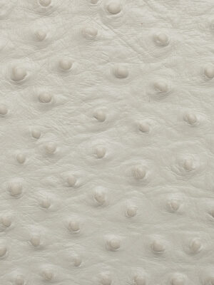 Struzzo - Col. 77996