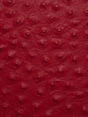 Struzzo - Col. 77997