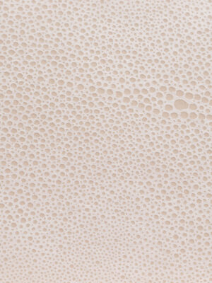 Galuchat Soft – Col. 2101T