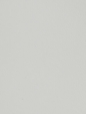 Cuoio Rifinito - Col. 001 Bianco