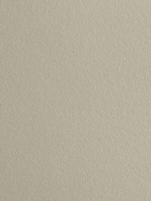 Cuoio Crosta - Col. 050